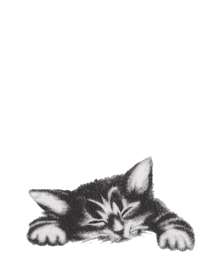 Camiseta Cat - Imagem 4